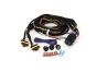 Two-Lamp Wiring Kit - Long (6-Pin, Superseal, 12V)