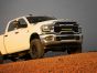 RAM 2500/3500 Big Horn (2025+) Grille Kit 