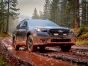 Subaru Outback (2023-2025) Grille Kit