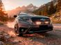 Subaru Outback (2023-2025) Grille Kit