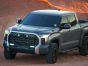 Toyota Tundra TRD (2022+) Grille Kit - Carbon-2