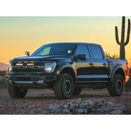 Ford F-150 Raptor (2021-2023) Grille Kit